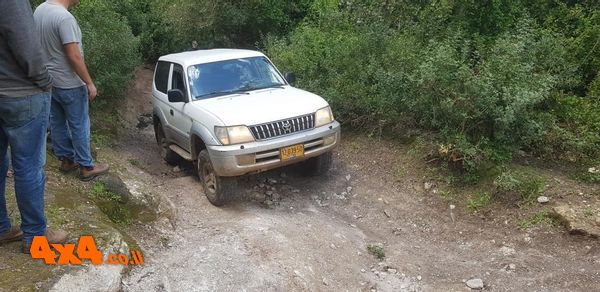 1620026849569