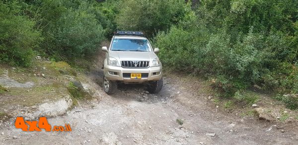 1620026854341