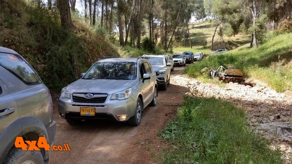 סיכום טיול סובארו דרייב לעין יזרעאל, הגלבוע ועמק המעיינות - 17/4/21