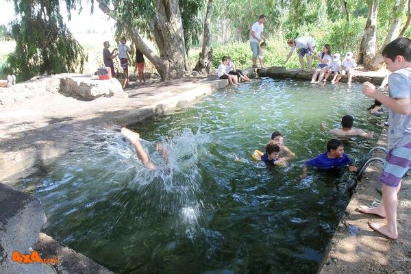 טיולי אתר השטח בחג השבועות, הדרכות נהיגה וערכת קפה במבצע