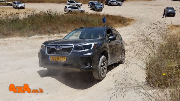 תרגול עליה וירידה
