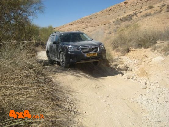 1624734119912