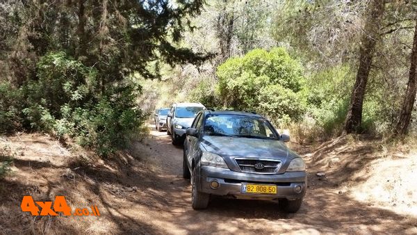 מטפסים ביער הקדושים