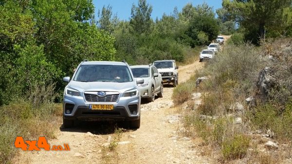 עלייה וירידה בשטח טרשי סביב גבעת יערים