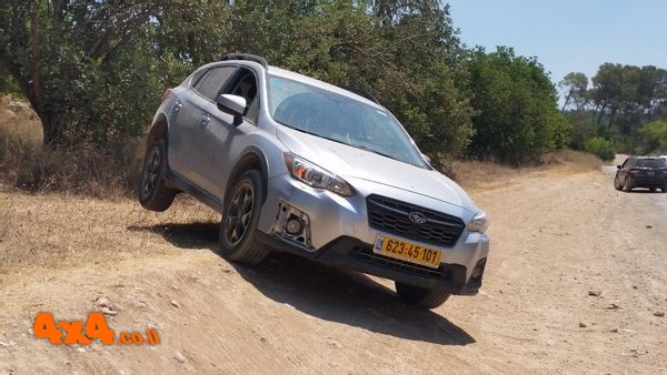 תמונות נוספות מהקבוצה של יחיאל דניאל