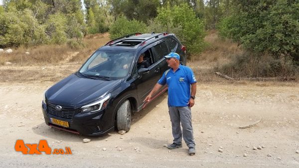 תמונות נוספות מהקבוצה של יחיאל דניאל