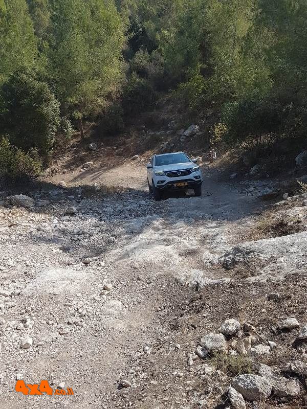 1629613456127