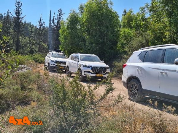 1629632393442