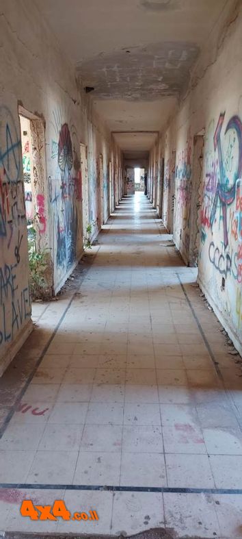 1629709771977