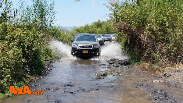 טיולים בסוף השבוע הקרוב, הדרכות נהיגה וטיולים בחגים