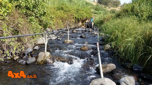 הולכים בשדרת המים נגד הזרם הצונן