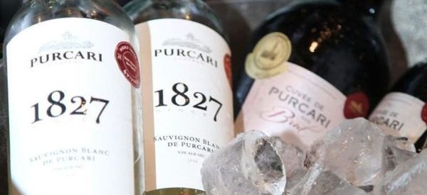 יינות Purcari עכשיו בישראל