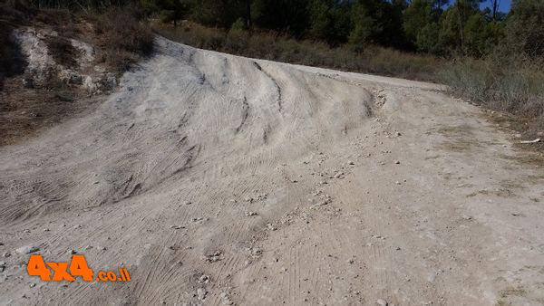 1637069725447