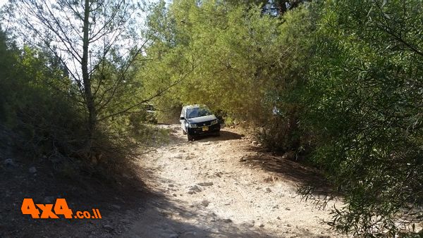 סיבוב בדרך חברת חשמל ועליה מאתגרת