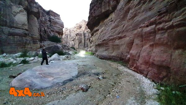 אחד הנחלים הזורמים לים המלח