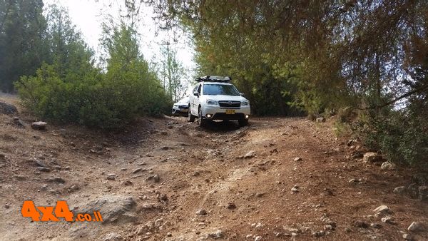 עושים מסלול ביער בעבירות מגוונת