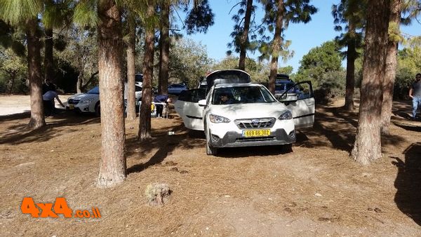 בהפסקת הבוקר בשמורת הר חורשן