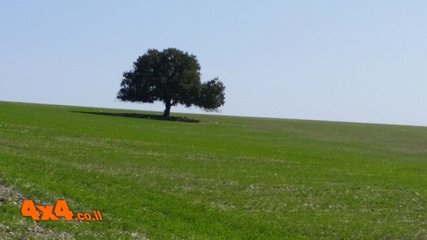 הריאה הירוקה של המדינה