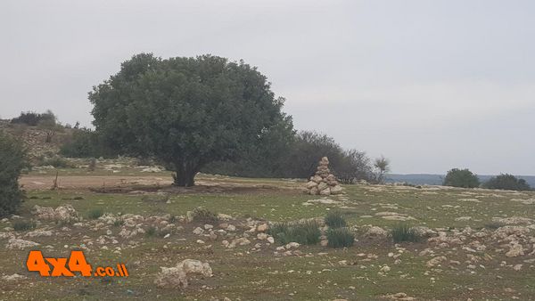 1640773623451