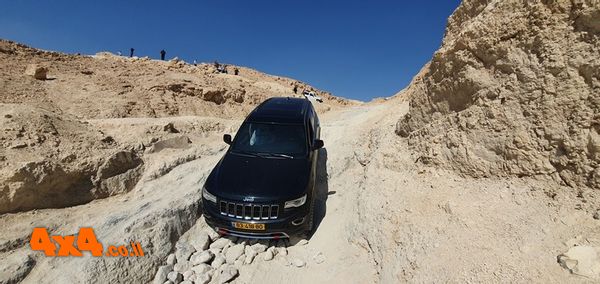 1646233772387