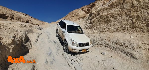 1646233783883