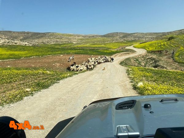 סיכום טיול מתל ערד למצוקי דרגות - חוצה מדבר יהודה - 5/3/22