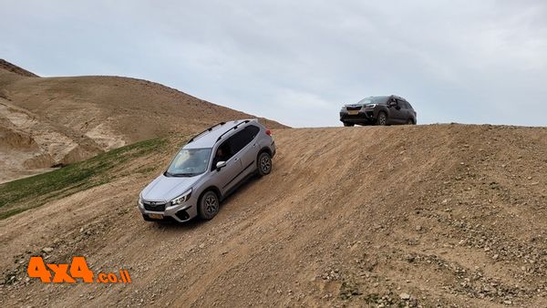 1648564147374