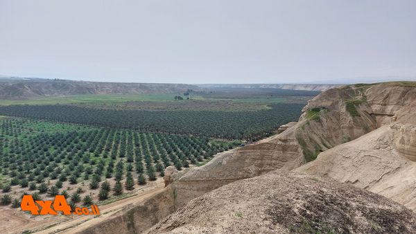 1648025477917