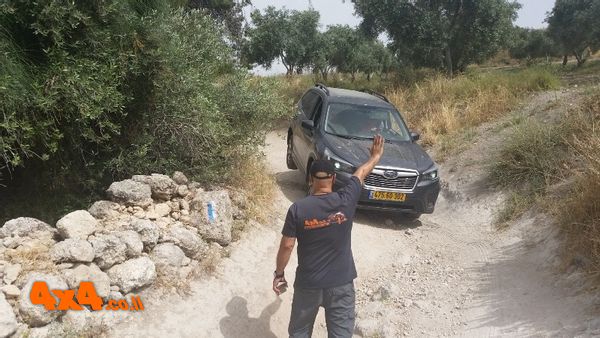 נכנסים לשטח 