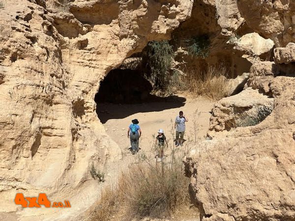מיטיבי הלכת שביננו ירדו אל המעיין