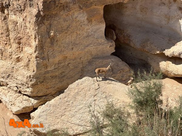 1658639446935