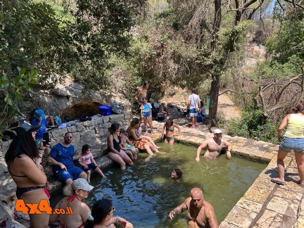 עין טייסים