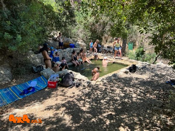 ארוחת צהרים בעין טייסים