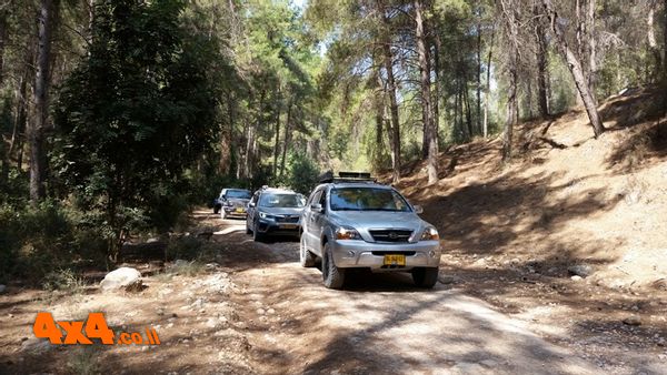 מטפסים ביער הקדושים