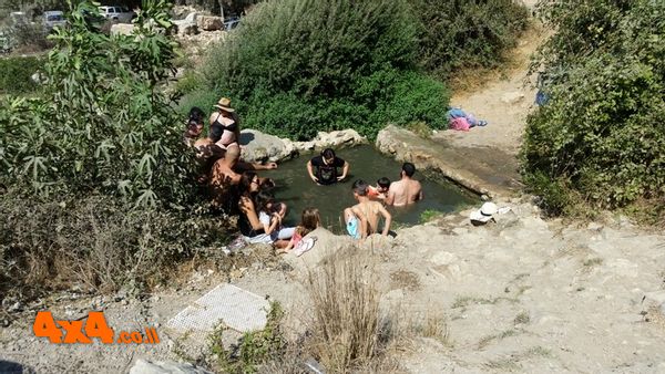 מתרחצים בעין לימון