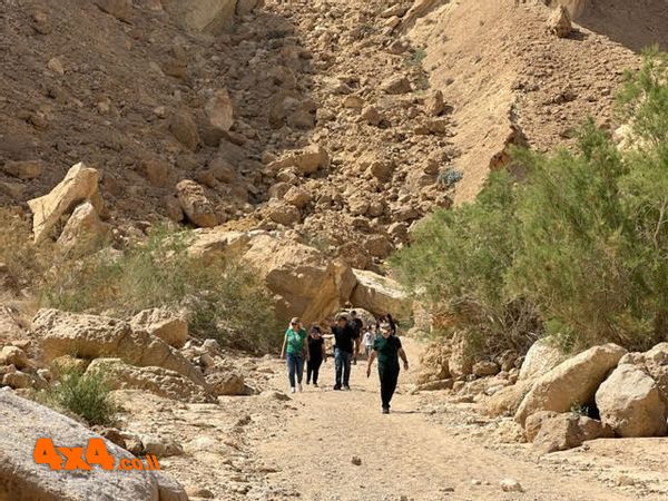 שער אשמדאי - הליכה לתצפית על המכתש