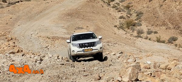 1682428224321