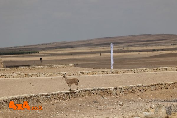 1745841021562
