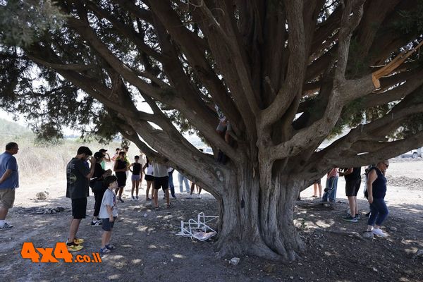 1760260557512