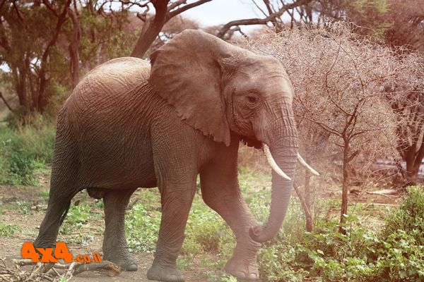 1763480940749