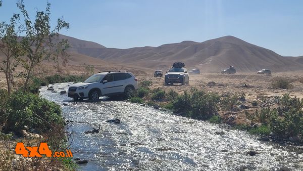 המבוטח ננזף ונענש על שלא מנע ממנורה ומהסוכן שלה להתרשל כלפיו
