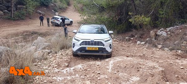 סיכום הדרכת קק''ל טויוטה ראב 4 - Toyota RAV4   