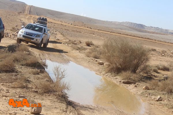 1766394506449