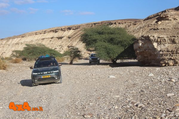 1766394591000
