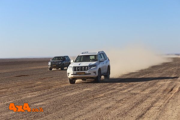 1766394706531
