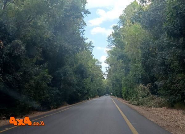 רמת הגולן במתכונת משפחתית - טיול כביש אל צפון הגולן