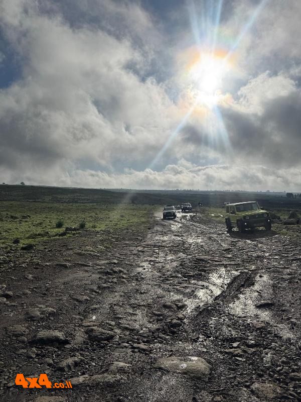 1767685217297