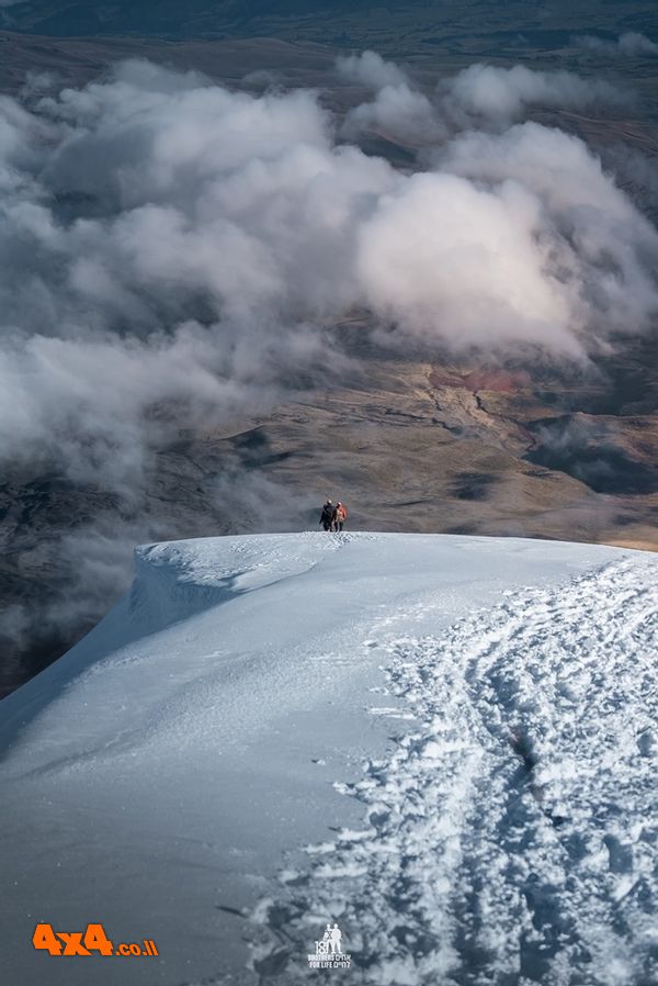 1770869852442