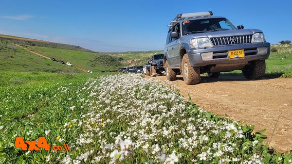 טיול 4X4 מנחל אדוריים ושמורת גבעות גד לנחל גוברין  - 17/1/26