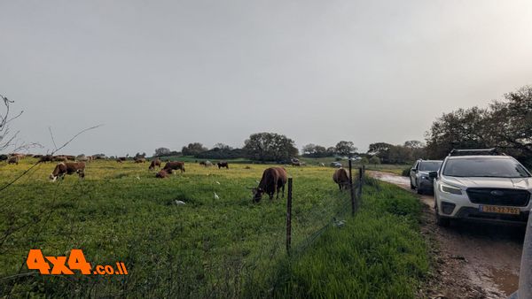 1769878780288